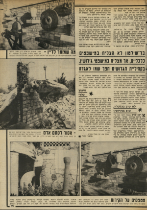 העולם הזה - גליון 2343 - 28 ביולי 1982 - עמוד 72 | את העובדה שיש אנשים השווים יותר ־ ואנשים השווים פחות, למד מנשה בן־ שילטון עוד לפני 19 שנה. בר־שילטון בן ה־ ,48 אחד מששת ילדיו ן של בעל־גכסים מבגדאד, עלה ארצה