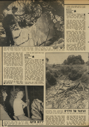העולם הזה - גליון 2344 - 4 באוגוסט 1982 - עמוד 47 | רכש ילו ידידים משבט בדואי המתגורר במקום, והיה מבלה את הערבים בחברתם. י די דו ת א מי צ ה חד מחכריד הוותיקים ביותר היה י שמעיה אנג׳ל. שנים אחדות לא התראו, כאשר