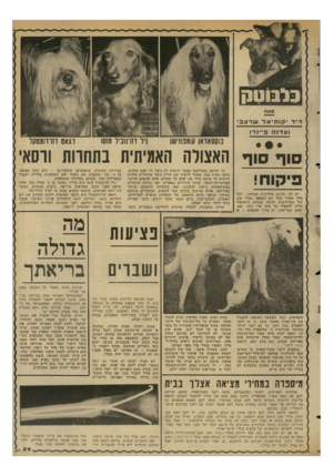 העולם הזה - גליון 2347 - 25 באוגוסט 1982 - עמוד 59 | כלבוטק מאח דייר?ותיאל שרעב ועדנה פיינרו סוף סוף פיקוח! יש לנו מדינה מודרנית בהחלט: לכל אחד מקרר בעל תא הקפאה בקור יבש וכל עקרת־בית יודעת שבחום הישראלי עליה