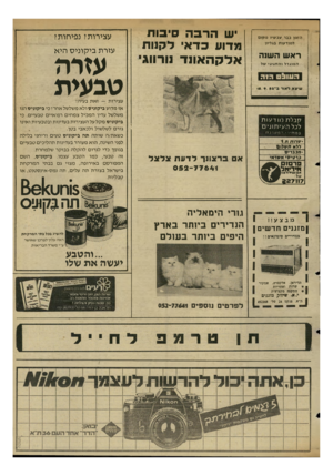 העולם הזה - גליון 2347 - 25 באוגוסט 1982 - עמוד 71 | ש הרבה סיבות מדוע כדאי לקנות אלקהאונד ]ורווג הזנון כבר עכ שיו נו קו ם ל מו ד עו ת בגליון ראשה שנ ה ה מוג דלוהח גי גי של עזרת בי קוני ס היא עזיה טבעית שיצ א ל