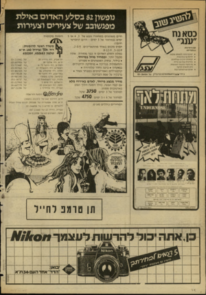 העולם הזה - גליון 2348 - 1 בספטמבר 1982 - עמוד 37 | נופשון 82 כסלע האדום באילת מפגשוכב של צעירים וצעירות כסא נח ״ענג״ עם היתרונות הבלעדיים: ישיבה נוחה למנוחה שלמה ידיות עץ מלוטשות קפיצים חזקים מגולווני מזרונית