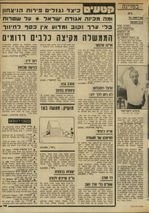 העולם הזה - גליון 2349 - 8 בספטמבר 1982 - עמוד 45 | המידתמור. ע ל בי ח ־ ה כו ס ת השכונה זכתה בכית־כנסת חדש, אד התושבים רכים כיניהם על הזכות־להתפלל בו. לכאורה הכל נראה כשורה. תושבי השכונה התל־אביבית חל־כביר, זכו