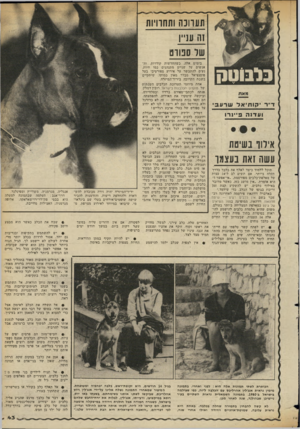 העולם הזה - גליון 2354 - 13 באוקטובר 1982 - עמוד 44 | תערוכה והחוויות !ה עניין שר תנווט מאת ד׳׳ר קותיאל שרעבי ועדנה פ״נרו אידוו בשיטת עשה1את נעצמו תוכל ללמוד כיצד לאלף את כלבך בדרך הקלה ביותר, אם תשים לב ל־ 14