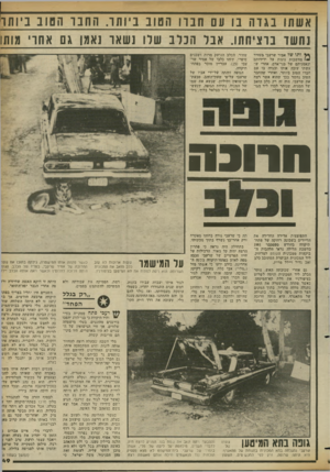 העולם הזה - גליון 2357 - 3 בנובמבר 1982 - עמוד 49 | נ ביותר אשתו נגדה בו עם חברו הטוב ניותר. החבר סלו נשאר ]אמן גם אחו׳ מותו 1חשר ברציחתו. אבל 1 1101 ^ ותו של אמיר שרעבי מעורר מחשבות נוגות על ידידותם ונאמנותם של