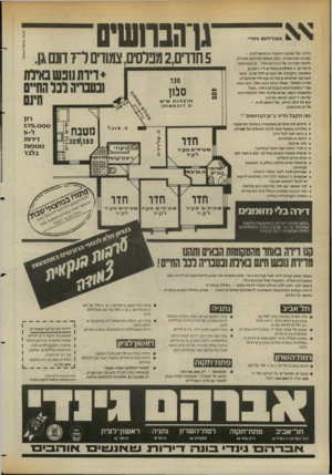 העולם הזה - גליון 2360 - 24 בנובמבר 1982 - עמוד 33 | דיות נופשבאיות ובטבריה לכוהחיים מרצפות וגו י19 31דוגמאות ! מה תקבל כדייר ב״גן־הברושים״? קשר בראלאשות׳ 5חדרים 2 ,מפלסים, צמודים ל־ 7דונם גן. בלבה של שכונת