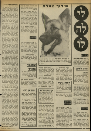 העולם הזה - גליון 2360 - 24 בנובמבר 1982 - עמוד 53 | שידוך צמרת וחבוט •ועומד לדין י קשר אינטימי, אפשרי גם קשר רציני. המועמדת המתאימה תזכה בתמיכה רחבה ונדיבה. ת״ד 14141 תל־אביב. * לא משנה. צעיר נאה וסימפאטי בנאה