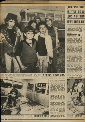 העולם הזה - גליון 2364 - 22 בדצמבר 1982 - עמוד 69 | בתוך הט־וסים, .שגם מ דינ ה מתביישת בהן. גם מהטלוויזיה את הארוחות הדלות מבשלים ב אש המדורה. אותם שאינם מוצאים מקום בפ חונים ישנים בחוץ, מתחת לעצי- ההדר העמוסים