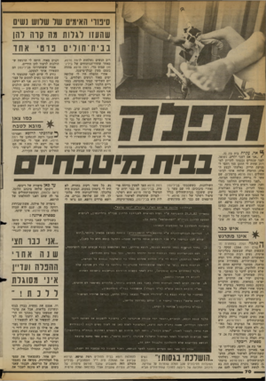 העולם הזה - גליון 2365 - 29 בדצמבר 1982 - עמוד 70 | סימוי האימים שד שלוש נשים שהעזו ליגלו!ת 1ווה קדה להן ב ביוו־חוליו 0נוםיא חז רוב הנשים נשלחות לרמת מרפא, מאחר שחדר־הניתוחים של ביליג־מון עמום מדי. רמת מרפא