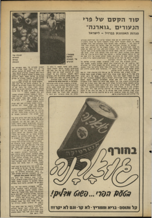 העולם הזה - גליון 2366 - 5 בינואר 1983 - עמוד 28 | סודהקסםשלפ רי הנעורים ״גו א רנו ד־מגדות האמזונס בברזיל ־ לישראל איך זה שד,ברזילאים הם עם שמח ומאושר ובריא ז איך הברזילאים מסוגלים במשך כל תקופת הקרנבל לרקוד