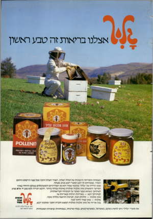 העולם הזה - גליון 2366 - 5 בינואר 1983 - עמוד 58 | אצלנו בריאות זה טבע ראשון ו 1א? 011£ + 6 0 ** 1 11א>011£י *£א 0א 06£ק הצמחיה והפריחה הרבגונית של הגליל העליון, האויר הצלול והנקי מכל פגעי הריסוס וזיהום האויר,