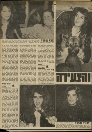 העולם הזה - גליון 2366 - 5 בינואר 1983 - עמוד 64 | ברוק שילדם שייכת לדור מתוחכם יותר. ניכר בה שיש לה אישיות משלה. היא קודם כל שחקנית ־זרק אחר כך ״כוכבת״. לליז טיילור, שבאה להביא לנו את השלום, היה שבוע גדוש