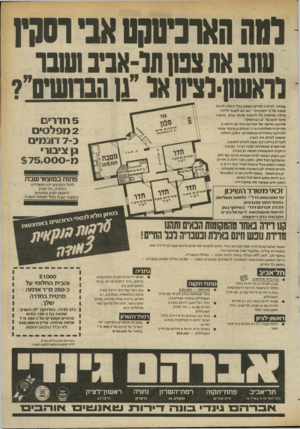 העולם הזה - גליון 2367 - 12 בינואר 1983 - עמוד 26 | לווה הארנזוקט אב•ר90ץ שב את צנח תו-אב! ושנו וחסוחויוצחו אד ״ 11 הנותוחר? עובדה. תרת 3חדתם בשכון בבלי החלה להיות קטנה על ה״רסקינים״ .הם רצו לעבור לדירה גדולה