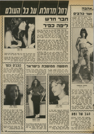 העולם הזה - גליון 2369 - 26 בינואר 1983 - עמוד 47 | .אהבני ושני בדבי השנה שחלפה לא היתה המאושרת בחייה של הדוגמנית היפה סימונה בלדמסלז* .לא מזמן סיפרתי על מסע עצוב שעשתה סימונה באיטליה( ,העו־לס הזה .)2363 היא
