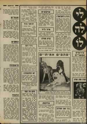 העולם הזה - גליון 2369 - 26 בינואר 1983 - עמוד 48 | י הורוסקופ ייייי בכל מצב, לא יותר מבנות ,60 לשעות הבוקר. ת״ד 33226 תל־אביב, מיקוד .61331 +רצינית כמאל אבו־אלהוגא, מושב כוכב, ד״נ כרמיאל, מיקוד .20185 -ואולי