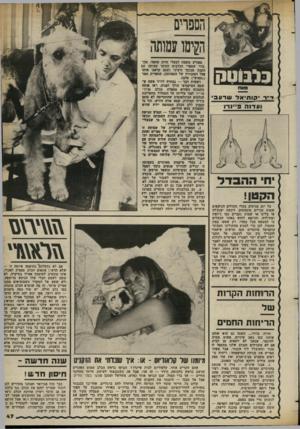 העולם הזה - גליון 2374 - 2 במרץ 1983 - עמוד 49 | הקימו עמותה בלבוטק > 1נאח י־״ר ׳ ?ו חי א ל שרעב ועדנה פ ״ נ דו הקטן! כל יום מגיעים בעלי חתולים הנושאים שמות זכריים מובהקים, דוגמת יענק׳לה או בלינו או שמות