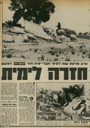 העולם הזה - גליון 2377 - 20 במרץ 1983 - עמוד 20 | התחלנו לנסוע לכיוון ימית. צאלח שם קסטה של זוהר ארגוב. על הכביש, לפני הפניה לעיר, עמד פעם שלט גדול וציבעוני, שעליו פירוט מלא של כל היישובים ה יהודיים בחבל.