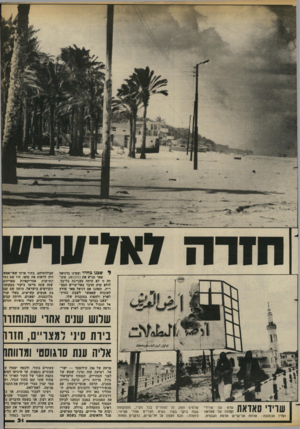 העולם הזה - גליון 2378 - 28 במרץ 1983 - עמוד 32 | ל ש מו גחדר וצפינו בדניאל פאר מגיש את כולבוטק. עוב דו .זו לא היתה מעניינת כל-כן, לולא קרה הדבר באל-עריש המצ רית. תמהנו אם דניאל פאר מודע לעובדה שאפשר לשבת
