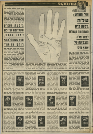 העולם הזה - גליון 2379 - 6 באפריל 1983 - עמוד 27 | הורוסהוס מוסרי ולכושר הסבילות, ומשוייכת למזל עקרב. כל אחד יכול להסתכל בכף ידו ולבדוק אם הוא ניחן בתכונות שמסמלות גבעות אלה, ואם יש בו מהתכונות הבולטות של מזל