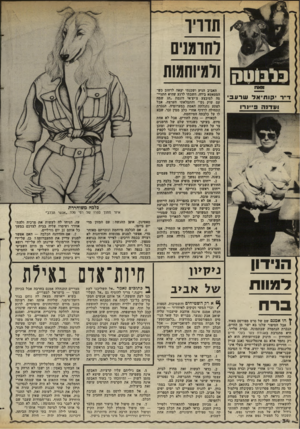 העולם הזה - גליון 2380 - 13 באפריל 1983 - עמוד 34 | תדויו לחומנים ודדיוחמות 1יאח דייר יקוחיאל שרע ועד1ה פיינרו הנידון למוות ברח ^ הו אמנם שם של סרט מפורסם מאוד, י אבל הסיפור שלנו בא ישר מן החיים. הגברת הנחמדה
