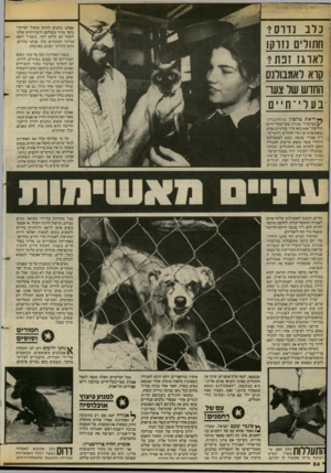 העולם הזה - גליון 2382 - 27 באפריל 1983 - עמוד 52 | נלבנ דו ס? חתולים נזו קו ר אוגז זבת? קוא לאמבולנס החדש של צער ב ע לי ־ ח ״ ם אצלנו נותנים לחיות טיפול וטרינרי בחצי מחיר משלהם, והשירותים שלנו לקהל הם זולים