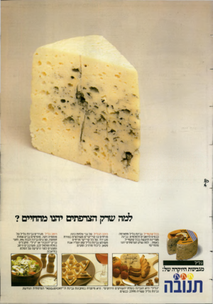 העולם הזה - גליון 2383 - 4 במאי 1983 - עמוד 61 | למה שדק הצרפתים יחנו מהחיים? בכל קוקטייל. גבינת גליל מתאימה כבסיס לרוטבים ולסלטיס. גבינה מצויינת להגשה בכל קוקטייל. באמת ...למה שרק הצרפתים יהנו מהחיים? כוכב
