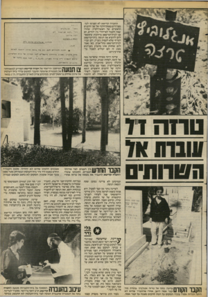 העולם הזה - גליון 2383 - 4 במאי 1983 - עמוד 73 | החברה קדישא לא הסכימו לכך. מצויירים בפסק־הלכה של שני הרבנים הראשיים של ראשון־לציון, שהורו שאין לקבור לא״יהודי בין יהודים, הם פנו לבית־המישפט ברחובות שיאשפר להם