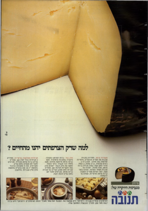 העולם הזה - גליון 2384 - 11 במאי 1983 - עמוד 12 | פשטידת פרשן מסדרים בתבנית שכבות של תפו״א מבושלים, פיטריות ופרוסות בצל מוזהב. מערבבים 2 ביצים טרופות, גביע שמנת 2 ,כפות פרורי לחם ושתי כפות מגררת גבינת פרשן,
