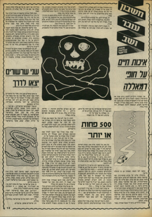 העולם הזה - גליון 2385 - 17 במאי 1983 - עמוד 14 | נהנו מהטיול, אבל היו להם שאלות. הילדים אמרו לי; אבא, מה זה שאמרת לנו שמלא פה ערבים? הרי אין פה ערבים בכלל! יש פה פחות ערבים ממה שיש בתל־אביב! כל הדרך לא ראינו