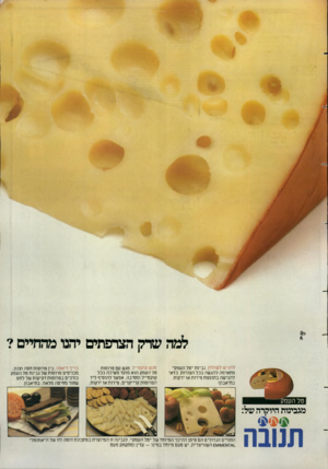 העולם הזה - גליון 2385 - 17 במאי 1983 - עמוד 20 | למה שדק הצרפתים יחנו מהחיים? להגיש לשולחן. גבינת ״טל העמק מתאימה להגשה בכל הצורות. כדאי להגישה בתוספת פירות או ירקות. בתיאבון! מגש קוקטייל.מגש עם פרוסות טל