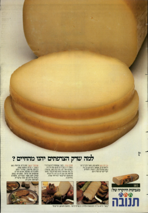 העולם הזה - גליון 2386 - 25 במאי 1983 - עמוד 47 | שרק הצרפתים יחנו מהחיים? גבינת בשן מתאימה מאד לכריכים ולחטיפיס. אפשר להגיש גבינת בשן עם פירות, ירקות, לחמים וקרייקרים למיניהם. חטיף ערב. לפני שמתחילים שידורי