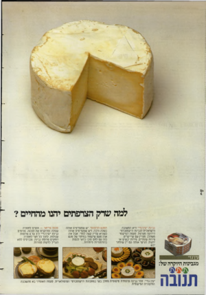 העולם הזה - גליון 2387 - 1 ביוני 1983 - עמוד 20 | למה שדק הצרפתים יחנו מהחיים? גבינת ״עין־גדי״ היא התשובה הישראלית לגבינת ה״קממברט״ הידועה מצרפת. טעמה הפיקנטי משתלב מצויין עם קרייקרים, פיחת עונתיים, פיחת יבשים