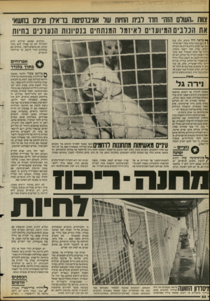 העולם הזה - גליון 2388 - 8 ביוני 1983 - עמוד 52 | צוות ,,העולם הזהי׳ חדו לבית החיות שר אוניברסיטת בו־אירן וציום בחשאי את הכלבים המיועדים לאיזמל המנתחים בנסיונות הנערכים בחיות ך יי מראה היה מזעזע. כלב ענק 1