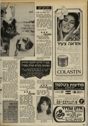 העולם הזה - גליון 2390 - 22 ביוני 1983 - עמוד 26 | מכחכים (המשך מעמוד )24 אילו׳ (.העולם הזה׳ .)2388 הרום יים קבעו: וזזסחגס 6׳\ 0 3 (היזהר בכלב!) הם ידעו כי הכלב הינו החיה המבוייתת הקדומה ביותר, ונהגו בו בכבוד.