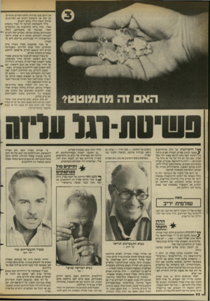 העולם הזה - גליון 2396 - 3 באוגוסט 1983 - עמוד 62 | את דרכם עשו בזהירות וללא הימורים מיותרים. הם יצקו את הדפוסים והקימו את האירגונים, שהלכו ותפחו וגדלו במשך השנים. כללי ההצטרפות לבורסה היו תמיד נוקשים מאוד. ועדה