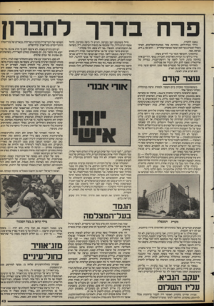העולם הזה - גליון 2397 - 10 באוגוסט 1983 - עמוד 43 | פרח בדרך לחברון נסענו לחברון. בדרך מבית־לחם, בקירבת אחד ממחנות־הפליטים, ראיתי בשולי הכביש נער קטן ואשה עטופת־שחורים — הוא כבן ,6היא. כנראה, אמו. בהתקרבי,