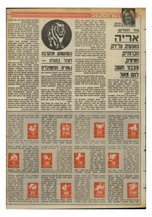 העולם הזה - גליון 2398 - 17 באוגוסט 1983 - עמוד 49 | מדים בנימיני מזל החודש: אהיה האנשים עליזים, חבוות״ם, חמימים. והכבוד חשוב להם מאוד הימים הם ימים שבין מזל אריה למזל בתולה, וכבר מתחילים להרגיש שינוי באווירה.