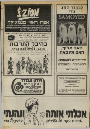 העולם הזה - גליון 2401 - 4 בספטמבר 1983 - עמוד 8 | לכבוד החג ג 1רי אפרו ראגיי מזנמאיקיר, בביצוע להקת הזמר המפורסמת 21011 מג׳מאיקה הכוללת 8אמנים מגדולי המוסיקאים בעולם לא חר הצלחה מסחררת באירופה הגיעו לסיבוב