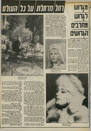 העולם הזה - גליון 2401 - 4 בספטמבר 1983 - עמוד 95 | ] מג הער רגרו ש מתרבים הגרושים ( 0 1 1 ס סו ל ס הם נפרדו כידידים וכך הם גם התגרשו, לפני יותר משנה. לביסוס הידידות בעתיד הותיר הרברט בידי יהודית־ג׳ודי את הבית