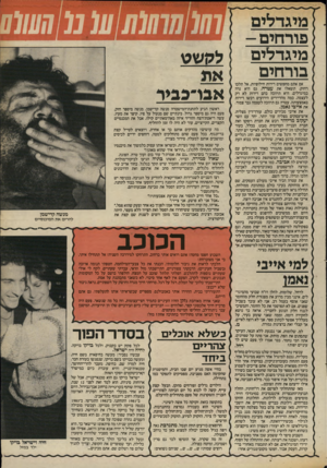 העולם הזה - גליון 2410 - 9 בנובמבר 1983 - עמוד 39 | פורחים - מיגדלים בורחים אם אתם מחפשים דירות חילופיות, אל תלכו רחוק. תשאלו את עטרה, גם היא גרה במיגדלים. היא תיווכה בהם דירות לא רק לעצמה. כמה מהדיירים הידועים