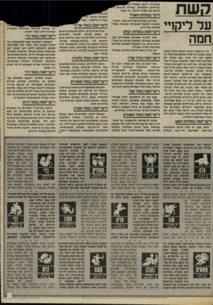 העולם הזה - גליון 2415 - 14 בדצמבר 1983 - עמוד 65 | השת עד ליקויי חמה ב 4-בדצמבר נפגשו השמש והירח במזל קשת. מיפגש כזה קורה אומנם בכל שגה. אך הפעם הוא היה שונה, שכן באותו יום התרחש ליקוי־חמה. המיפגש, שבדרך־כלל.