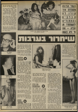 העולם הזה - גליון 2418 - 4 בינואר 1984 - עמוד 56 | נעמי אדווה מסנוו 1איו ע 1ו 1ל ה ה כרבים והחתולים לה שתחוו מן הכלא -ואת מי היא נג שה לעצורות, והשני לעצורים. החדר קטן מאוד ובו ספסל מאבן. הקור שם ממש בלתי־נסבל.