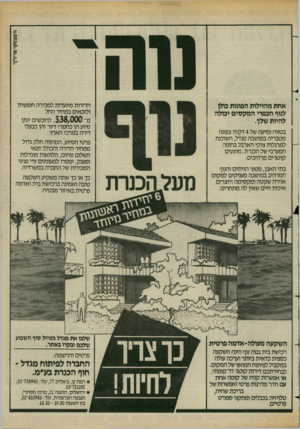 העולם הזה - גליון 2423 - 8 בפברואר 1984 - עמוד 47 | אחת מהוילות הפונות כולן לנוף הכפרי המקסים יכולה להיות שלן. הדירות מיועדות למכירה חופשית ולזכאים במחיר ה חל מ־ $38,000 לרוכ שים ינוע סיוע הן כ ח סרי דיור והן