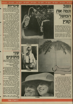 העולם הזה - גליון 2424 - 15 בפברואר 1984 - עמוד 48 | .וגם זה...וגם זה...וגם זה...וגם זה ...וגם זה ...וגם זה...וגם זה...וגם זה...וגם זה...וגם זה סיגריות נשב ונטה את הפועל קצץ ביום שחוקק החוק הגזעני נגדנו המעשג׳