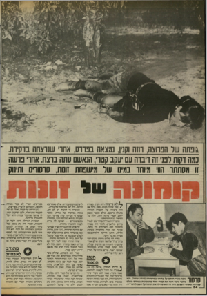 העולם הזה - גליון 2428 - 14 במרץ 1984 - עמוד 54 | גובתה של הפרוצה, ווזה וקנין, נמצאה בפרדס, אחו שנוצחו! בדקירה. כמה דקות לט זה דיבוה עם עקב קטר, הנאשם עתה נוצח. אחו פושה זו מסתתר הווי מיוחד :1מיו 1של מישפחת
