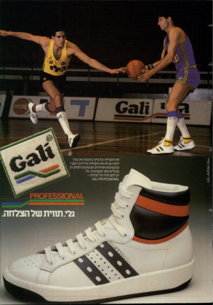 העולם הזה - גליון 2429 - 21 במרץ 1984 - עמוד 19 | וימו־ יעקב סון ט מי ר את ההצלחה של מיקי ברקוביץ אין צורך להציג גם לא את ההצלחה של דורון ג׳מצ׳י. כמקצוענים אמיתיים הם מוכנים לשחק רק בנעליים סופר מקצועיות. גלי.
