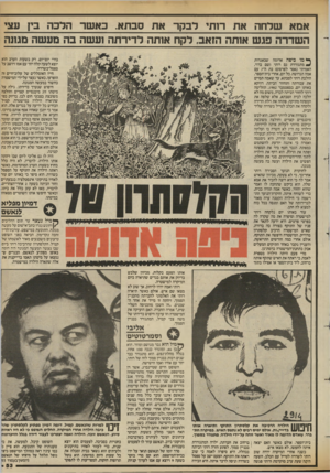 העולם הזה - גליון 2431 - 4 באפריל 1984 - עמוד 53 | אמא שדחה את רותי רבקר את סבתא. כאשר הרכה בץ עצי השדרה פגש אותה הזאב. לקח אותה לדירתה ועשה בה מעשה מגונה בחיי יום־יום. רק בשעות הערב הוא יוצא לשעה קלה יחד עם