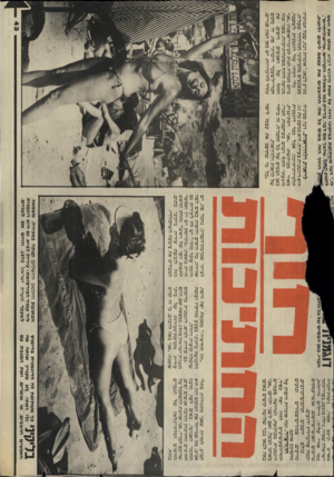 העולם הזה - גליון 2437 - 16 במאי 1984 - עמוד 43 | — 1ע1׳ 1/ע 11 —, 1סד־ד^דד־ בביקיני ורוד, על שפת מיפגש דבוש, שנתן את הסם שהפד שם דבר, בדיוק כמו מאכליו, הקרויים ״טריפוליתיים׳, החוף הזה באים כל אלו החושבים את