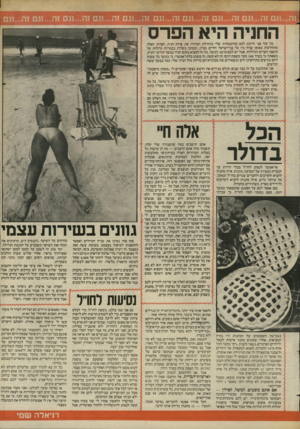 העולם הזה - גליון 2438 - 23 במאי 1984 - עמוד 31 | החניה היא הפרס מה עוד אני חייבת לכם מההבטחות שלי בתחילת המרור? אה, צרות חניה. הצרות האלה מתחלקות באופן שווה בין כל בני־ישראל החיים בציון, וכמובן נופלות בכמויות