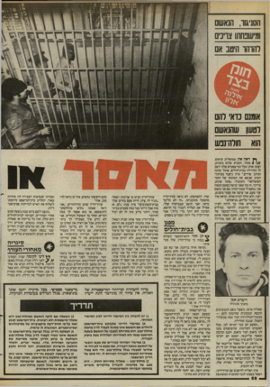 העולם הזה - גליון 2441 - 13 ביוני 1984 - עמוד 58 | הסניגור, הנאעום ומישבחתו צדינים להוהו היטב אם אומנם נוא׳ להם לטשו שהנאשם הוא חולה־ננש ף* ראה את שמואליק קראוס, 4 ממזר, המציא שהוא משוגע, ועזבו אותו מכל