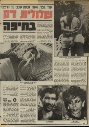 העולם הזה - גליון 2443 - 27 ביוני 1984 - עמוד 58 | שתי גובות ואשה גוססת שכבו ער הויצפה יותר מאוחר התאבדה אחת הדיירות בקפיצה מאותו גג. מכר של מישפחת מורד, שבא איתי לשם, הסביר לי כי כנראה יש משהו מקולל באותו בית